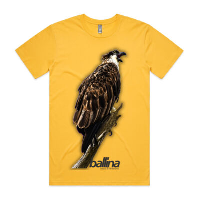 Osprey-Ballina Thumbnail