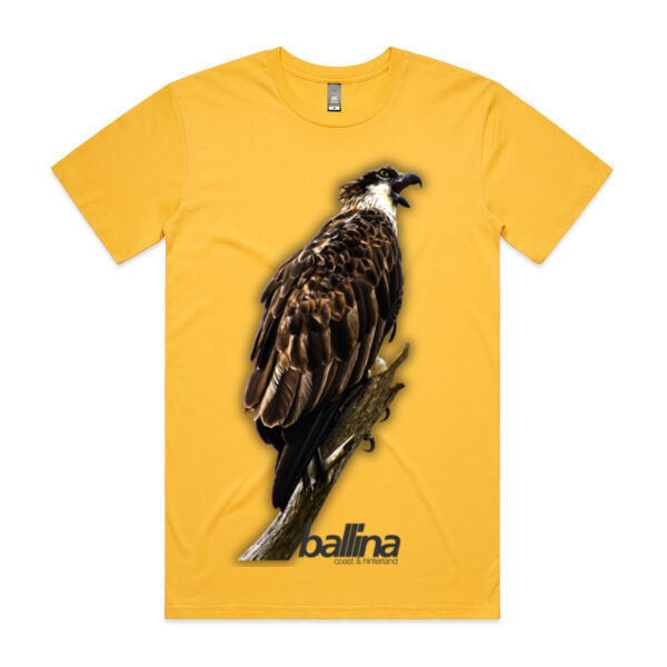 Osprey-Ballina Thumbnail